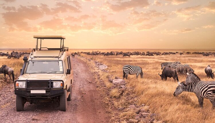 Fly-Out-Tips-When-Going-To-Safaris